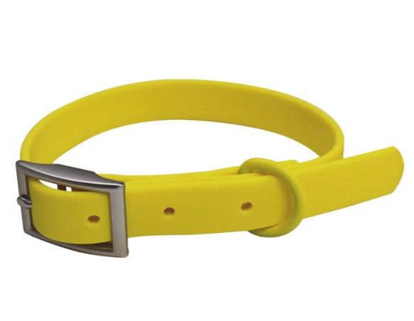 dog collar yellow