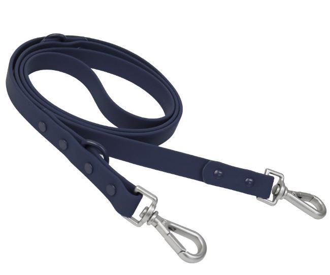 dog leash blue